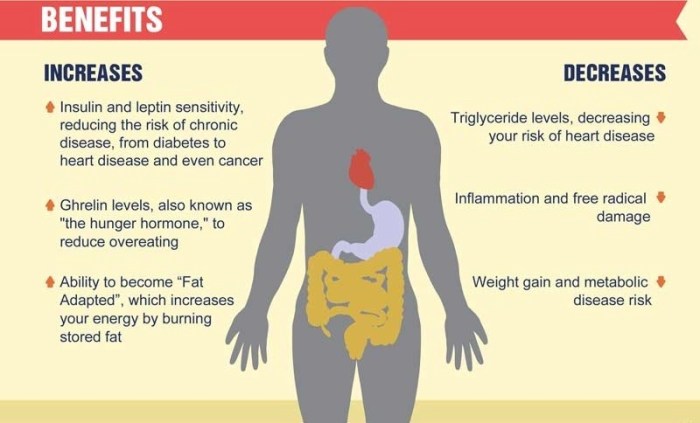 Fasting triggers remarkable changes throughout the body