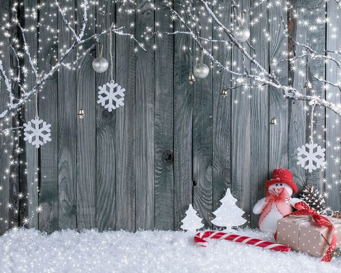 Backdrop ideas christmas