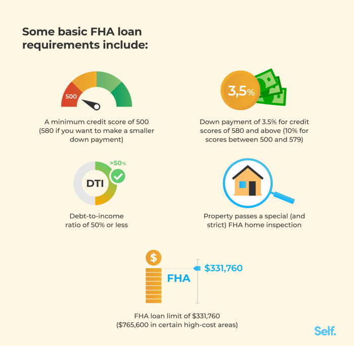 Fha loan requirements tn