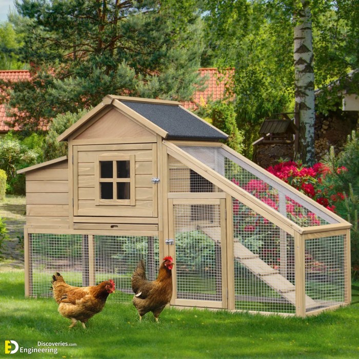 Cheap chicken coop ideas