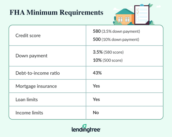 Fha loan requirements tn