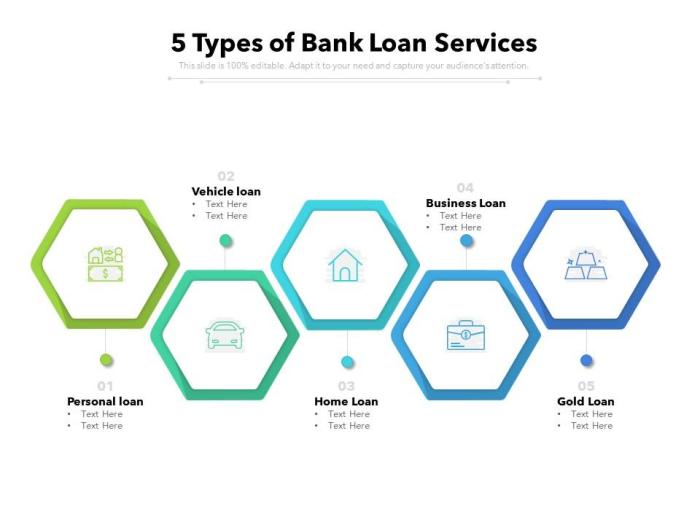 Special loan servicing