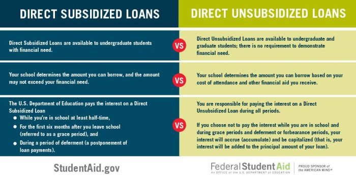 Loans loan undergraduate