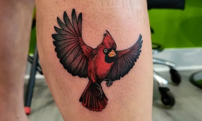 Tattoo cardinal bird tattoos mimi