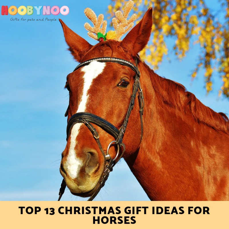 Christmas ideas for horse lovers