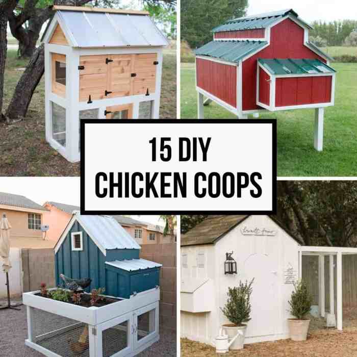 Cheap chicken coop ideas