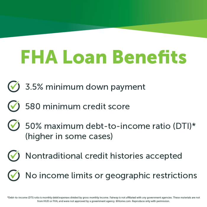 Fha loan requirements ga