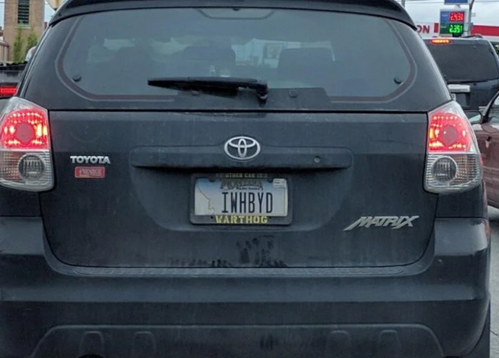 Best license plate ideas