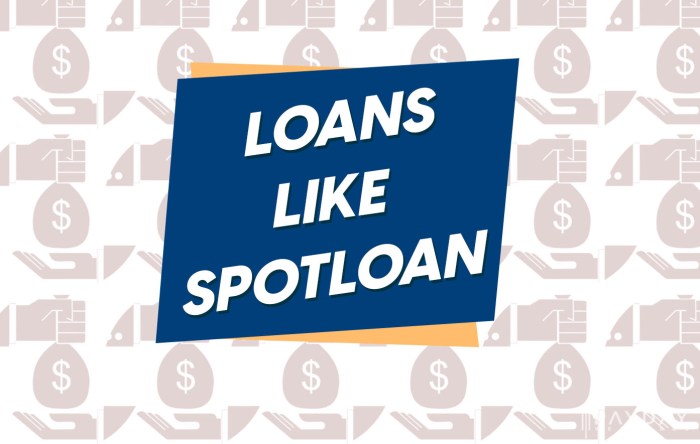 Loans similar to spotloan