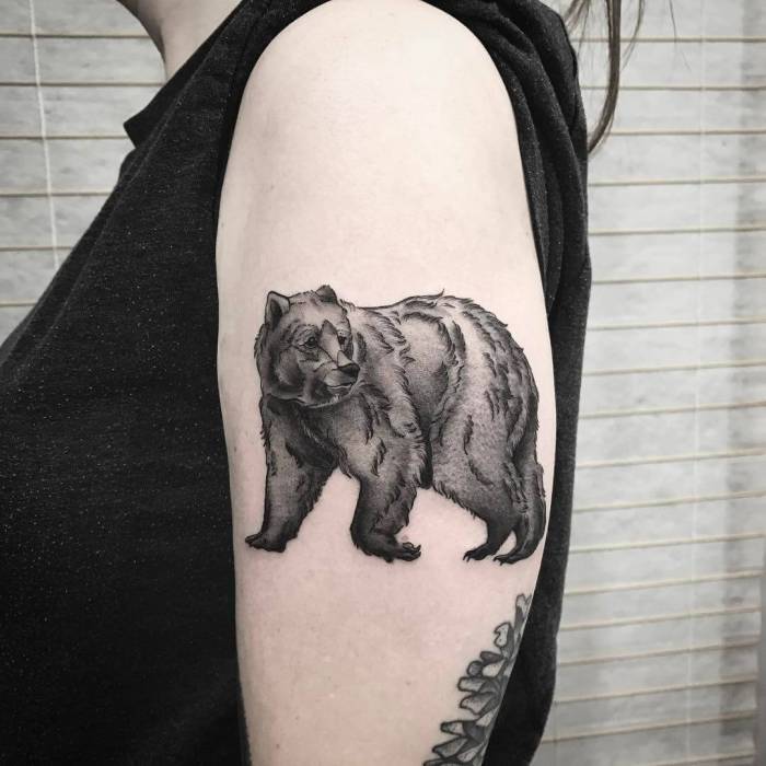 Bear tattoo ideas