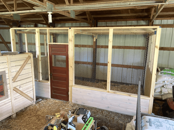 Chicken coop interior ideas