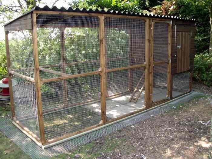 Chicken fence ideas