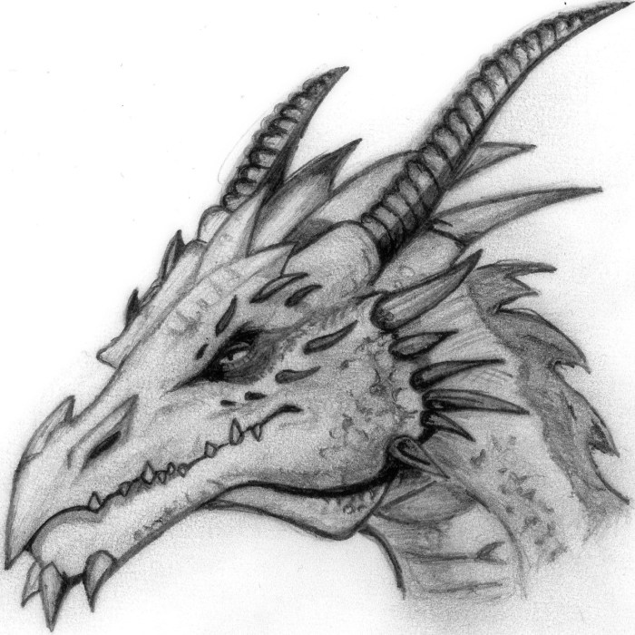 Dragon drawing ideas