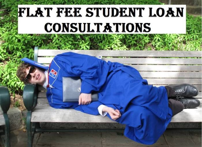 Elite student loan consulting