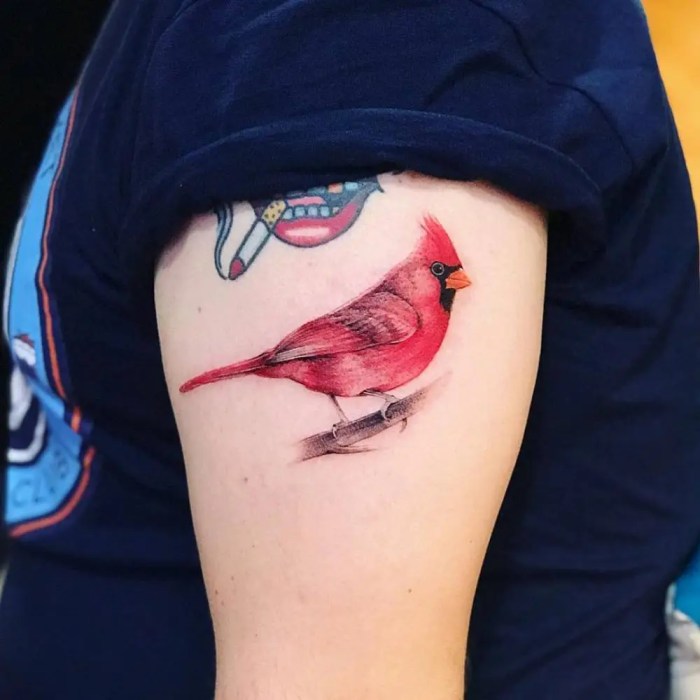 Cardinal tattoo ideas