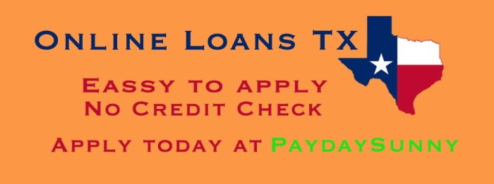 Loans in cc tx