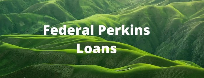 Perkins loan fee settlement