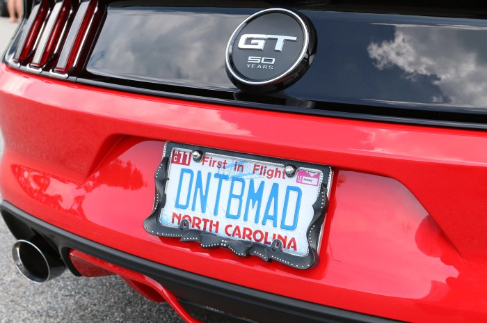 License plates personalized mustang rod hot week