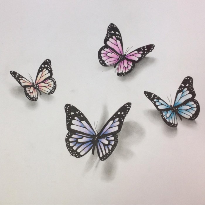 Butterfly drawing ideas