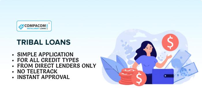 Direct tribal loans