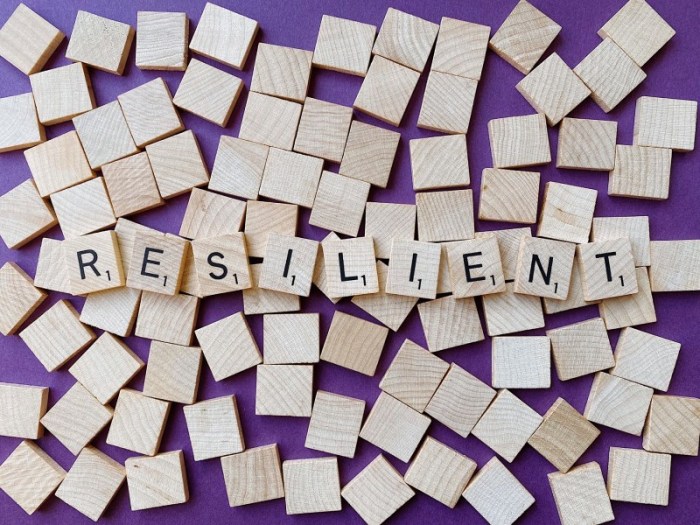 The importance of Resilience in co-development software