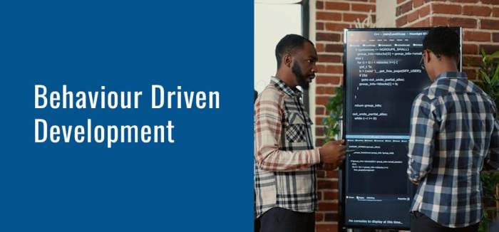 The importance of Behavior-Driven Development in co-development software