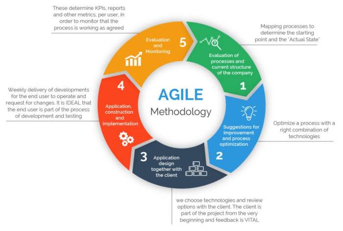 The importance of Agile Project Management in co-development software