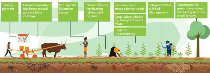 Earth control measure and Climate Smart Agriculture