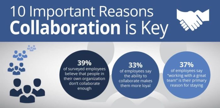 The importance of Collaboration in co-development software