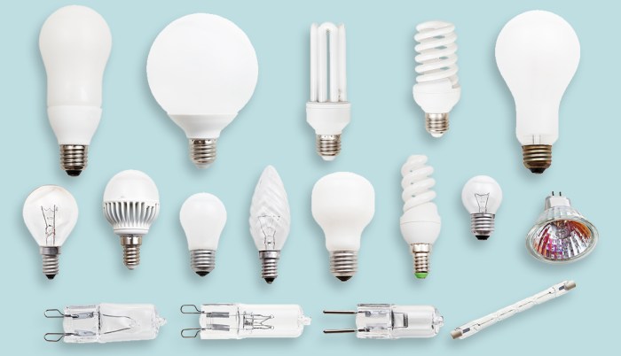 Bulb light sizes guide types chart bulbs fluorescent shapes reference sylvania led size base lighting replacement incandescent compact recessed color