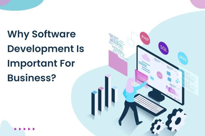 Importance software development slideshare