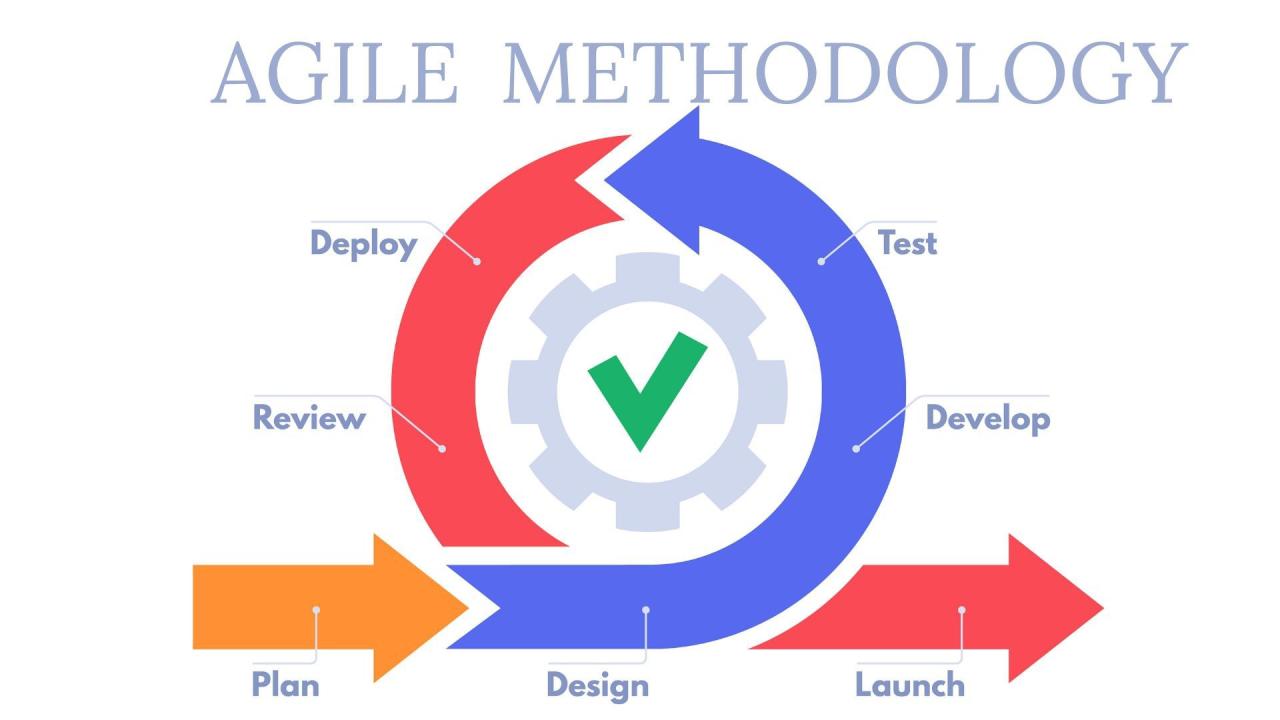 The importance of Agile Development in co-development software