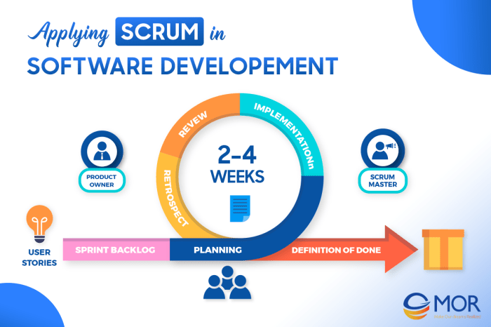 The importance of Scrum in co-development software