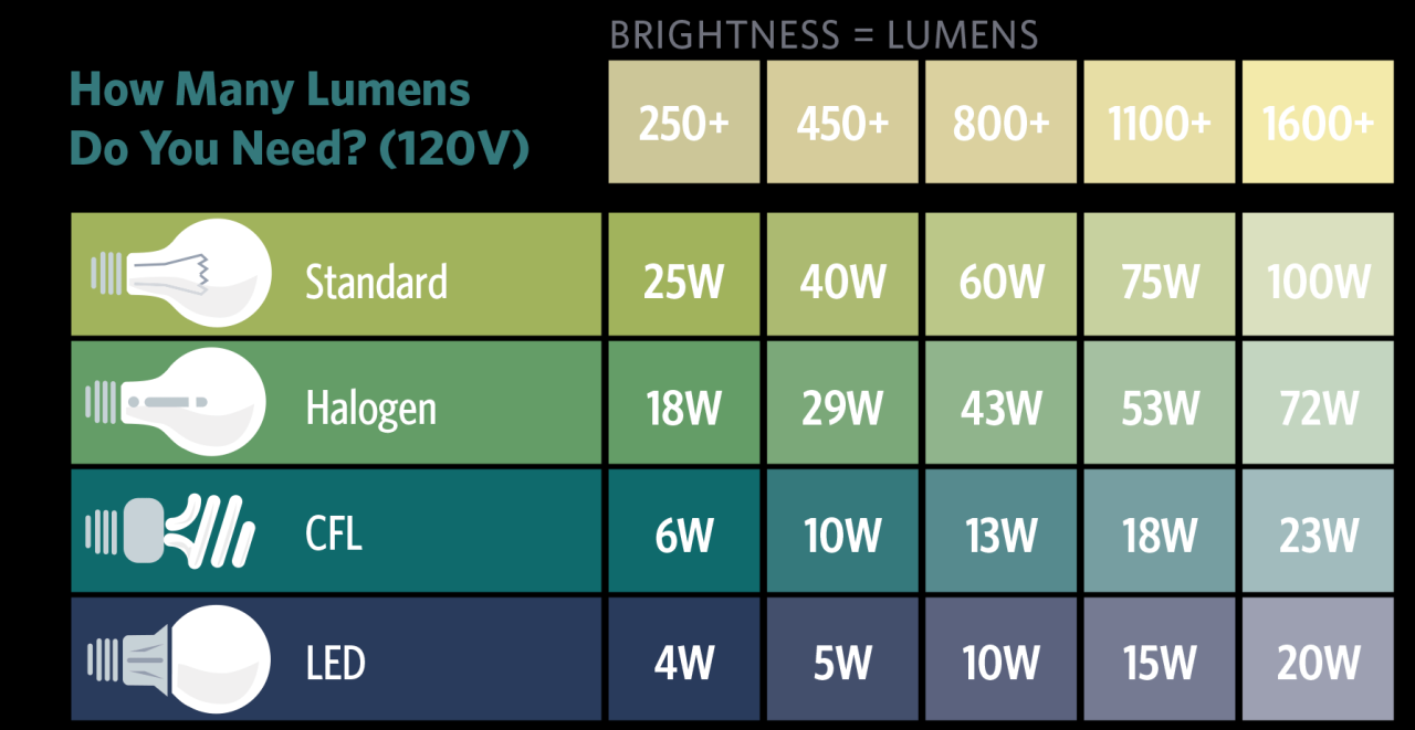 Incandescent 3 way light bulb 960 lumens