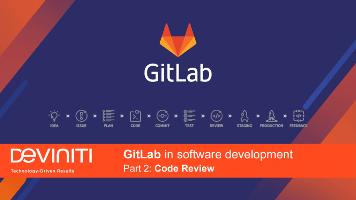 The importance of GitLab in co-development software