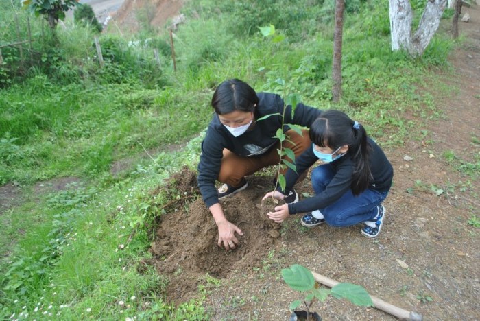 Earth control measure and Soil Pollution