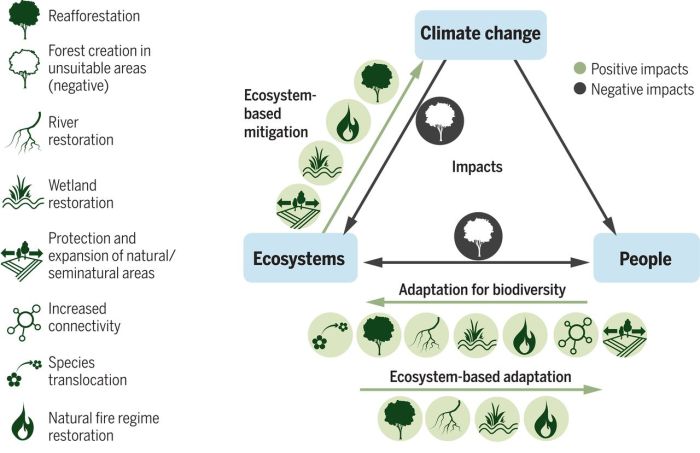 Earth control measure and Climate Change Adaptation