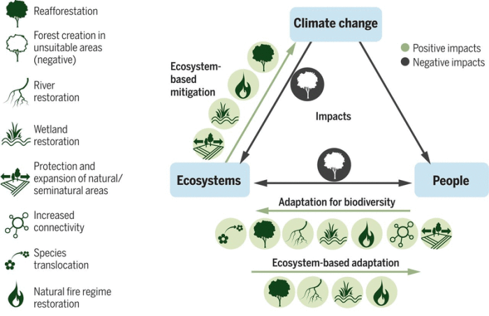 Earth control measure and Adaptation