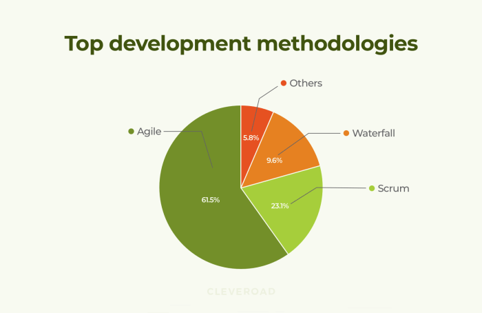 The importance of Hybrid Methodologies in co-development software