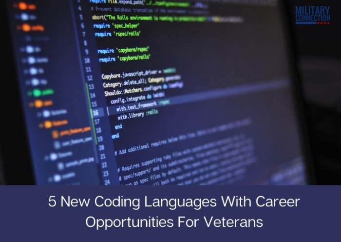 Best way to learn to code veteran programs