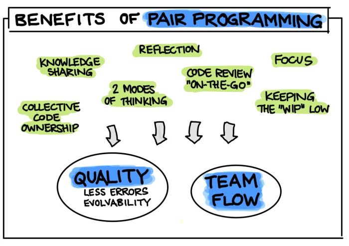 The importance of Pair Programming in co-development software