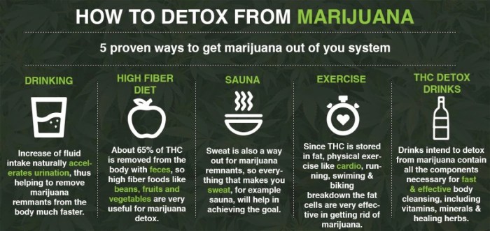 Detox weed thc cleanse marijuana gnc cleanses foods potent