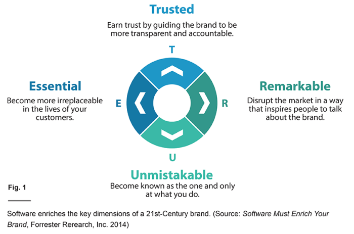 The importance of Software Testing in co-development software