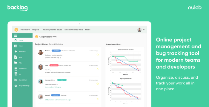 Issue tracking project issues tracker manage clients track related their