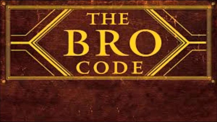 Can people be legally fined for breaking bro code