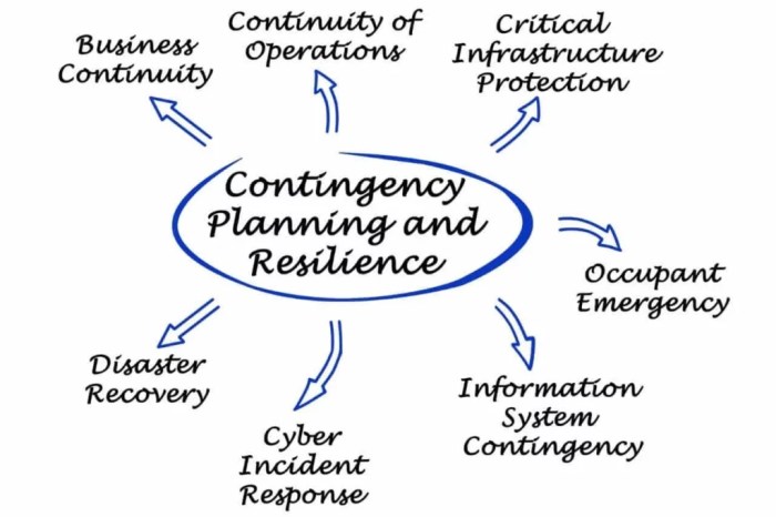 The importance of Contingency Planning in co-development software