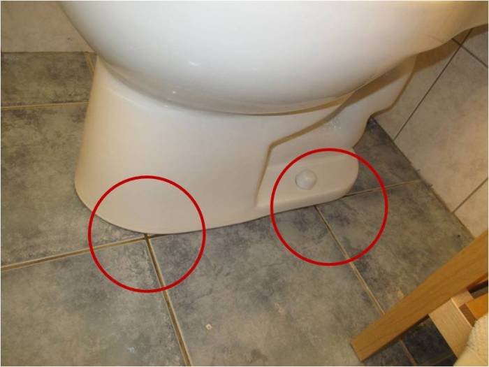 Best way to find out if your toilet is leaking