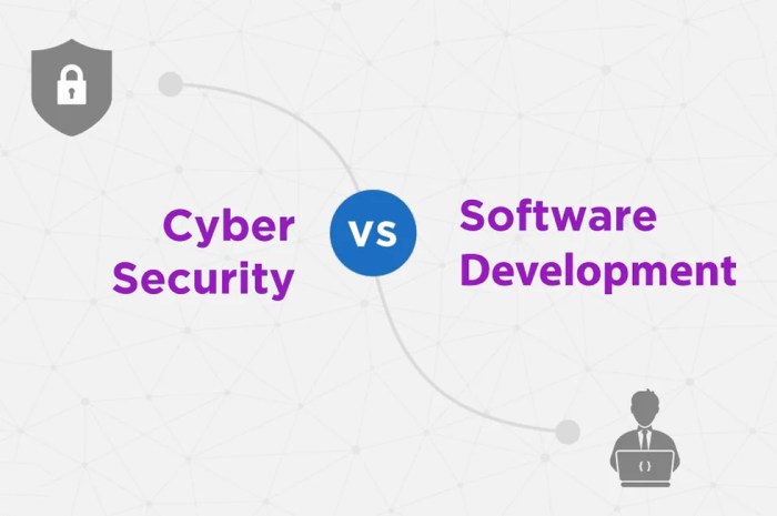 The importance of Cybersecurity Regulations in co-development software