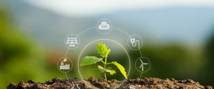 The importance of Sustainability in co-development software