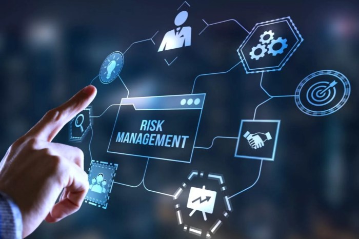 The importance of Risk Management in co-development software